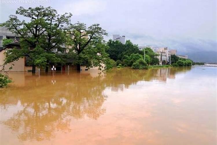 梦见暴雨房屋漏大水怎么回事儿啊