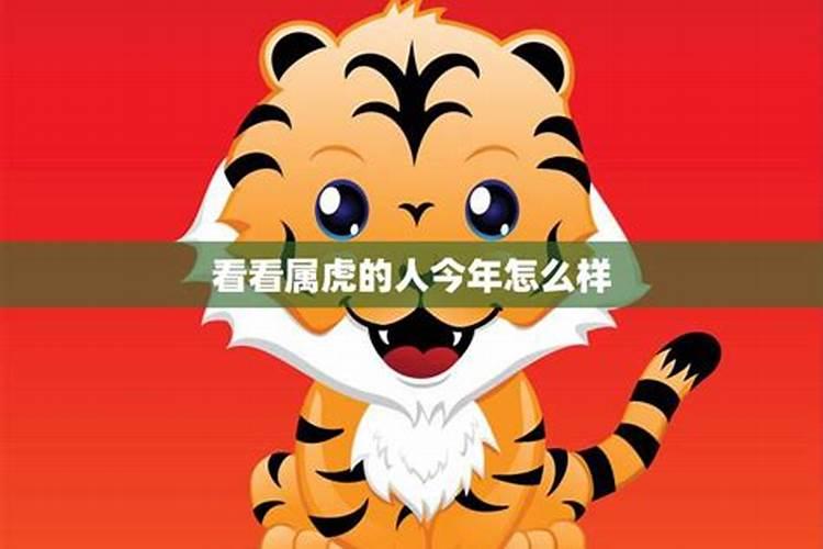 属虎的今年多大2022年运势