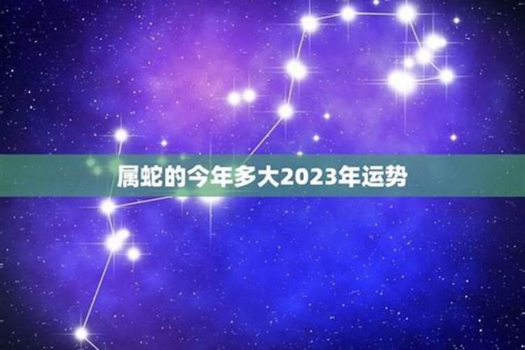 属蛇的今年多大了2023年