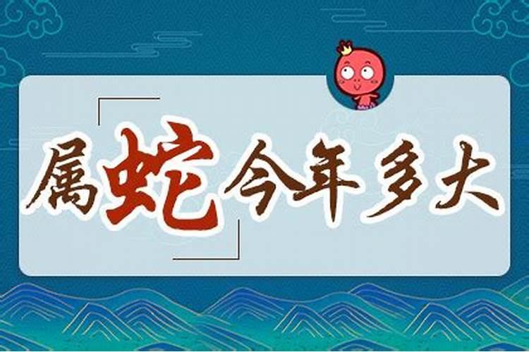 属蛇的今年多少岁2023年