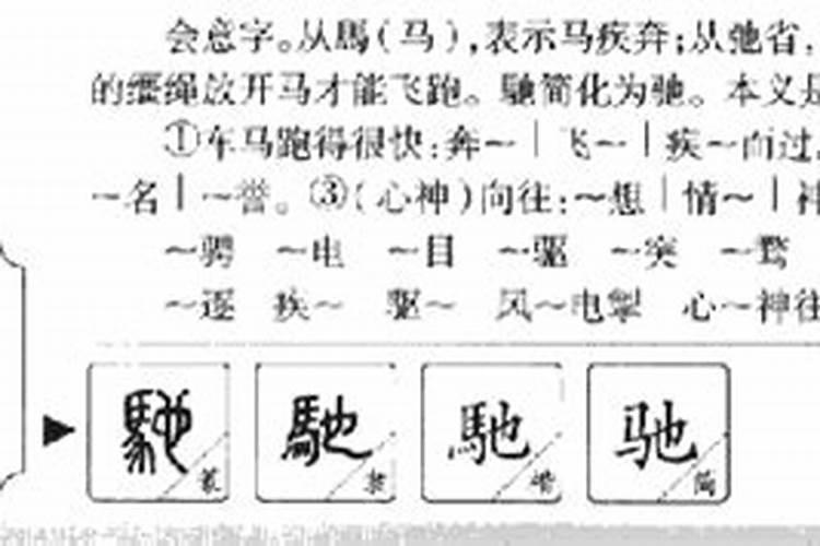 驰字五行属什么属性