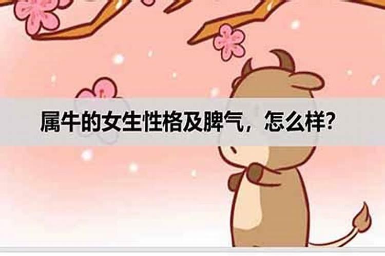 单身女人是什么生肖