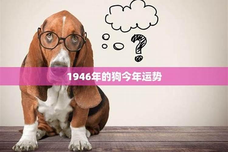 1946年2021年的运势