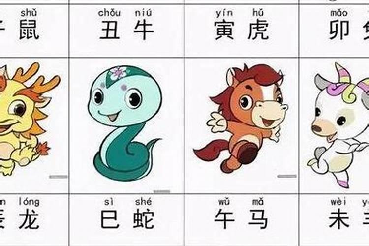 崎字五行属什么