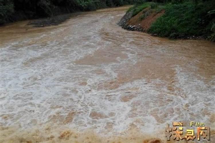 梦见河水黄色洪水