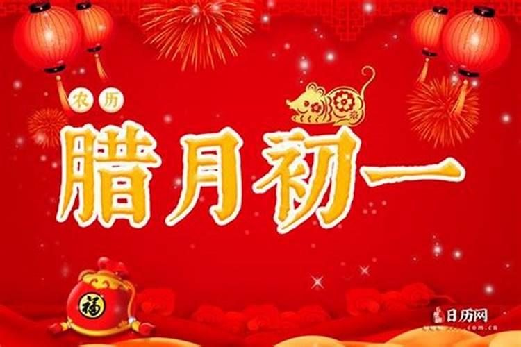 属猪的今年可能多少岁