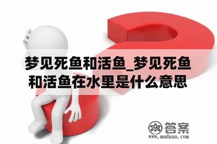 已婚女人梦见死鱼