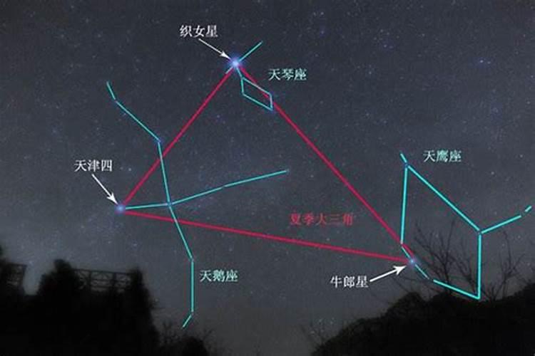 牛郎星是什么星座当中的一颗星