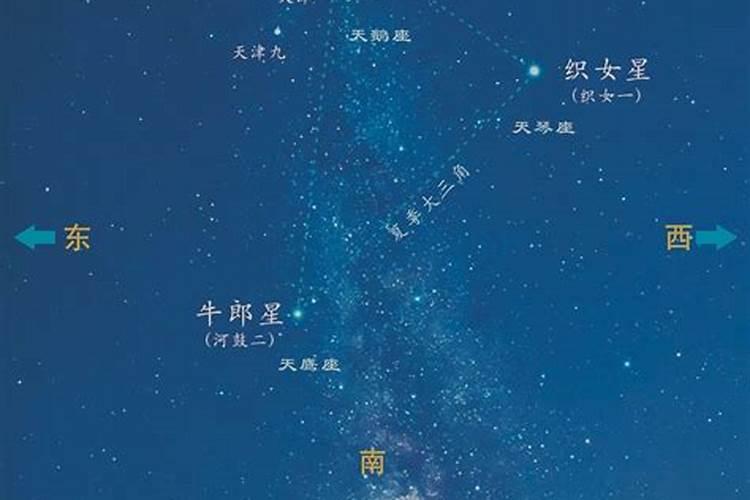 牛郎星是什么座的