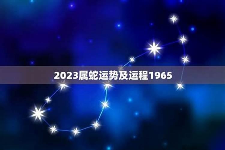 蛇2023年的运势及运程