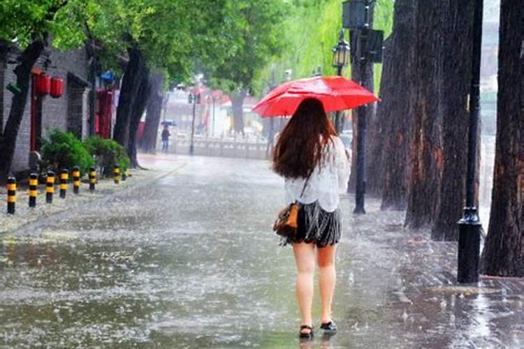 梦见下大雨风很大什么预兆呢