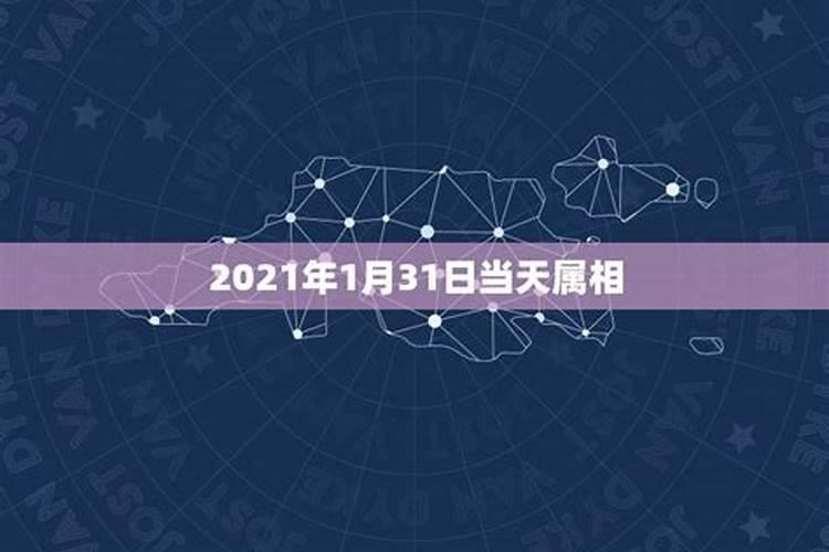 今天属什么生肖2023年1月23日