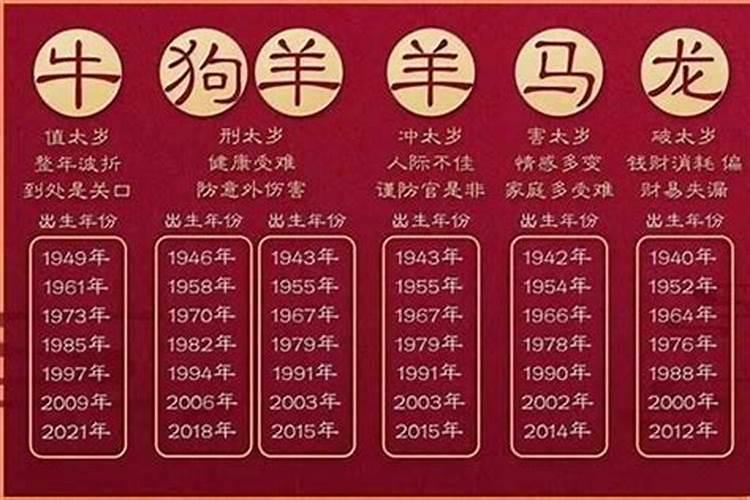 2023今年属什么年十二生肖