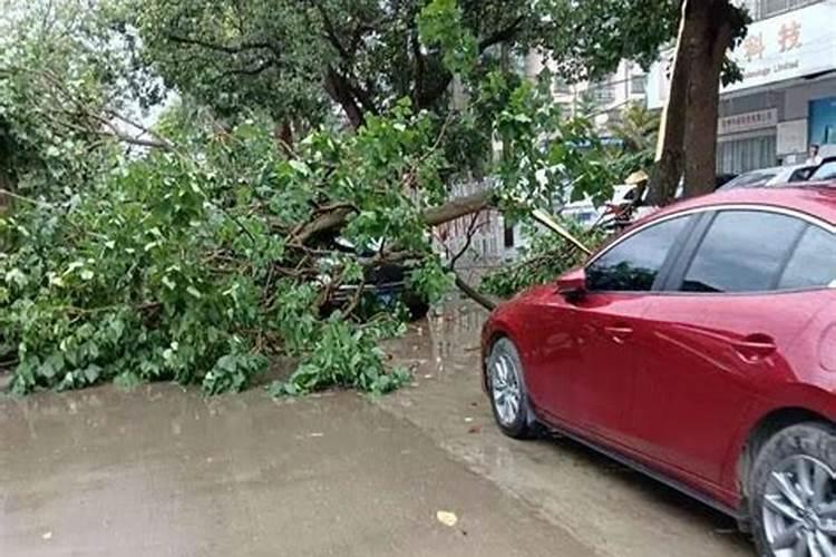 梦见大风大雨把房屋都刮到了