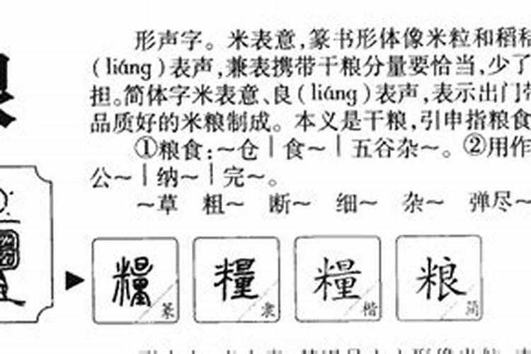 23岁属什么的