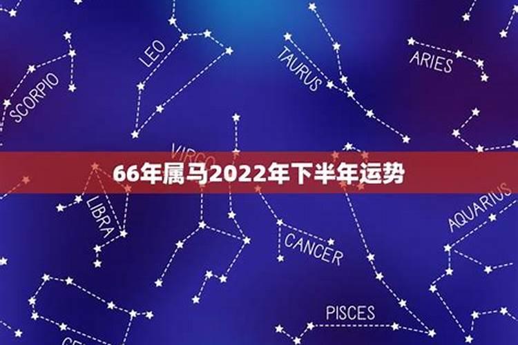 生肖马2022年下半年运势大全