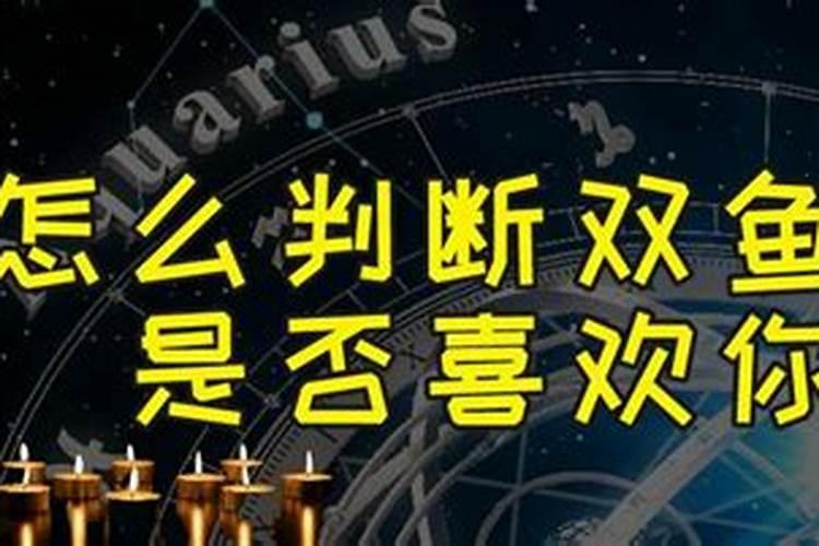 11月4日什么星座