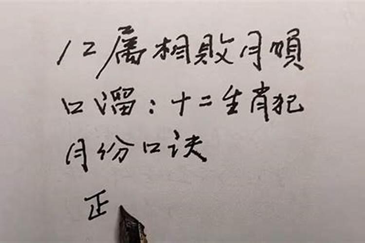 生肖兔败几月