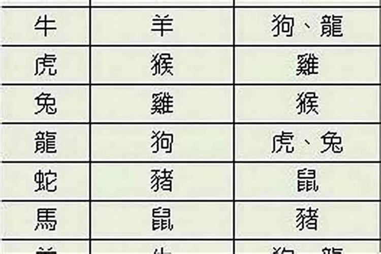 属马与什么属相配对最佳