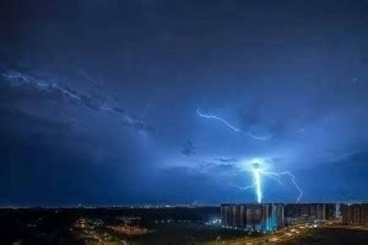 梦见下大雨雷劈大树什么预兆