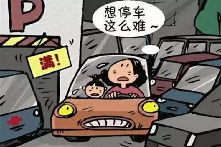 梦见车挡住了我的路