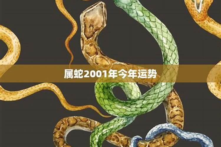 2001属蛇2021年多大