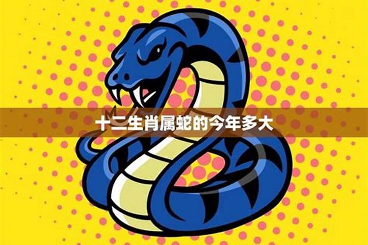 生肖蛇今年几岁生肖蛇今年几岁2022