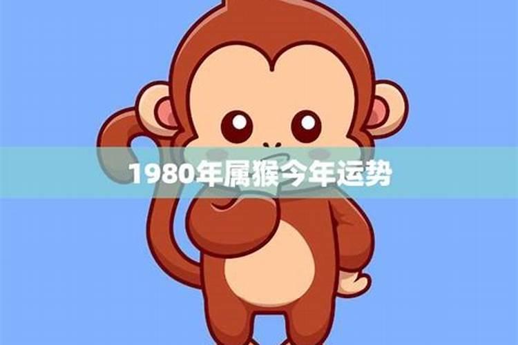 1980年属猴今年的运势