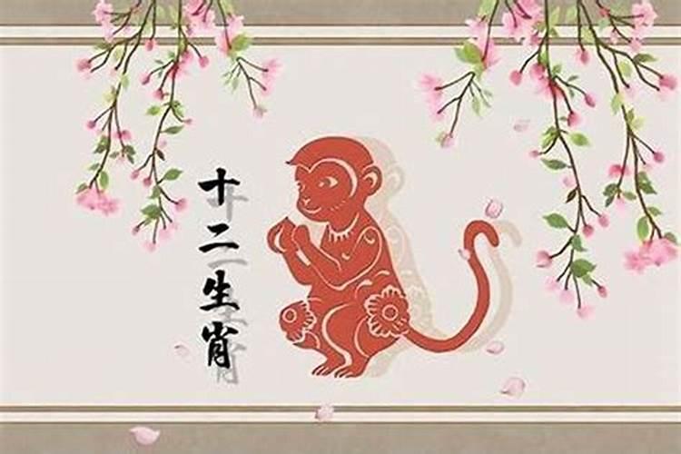 属猴今年的运气好不好