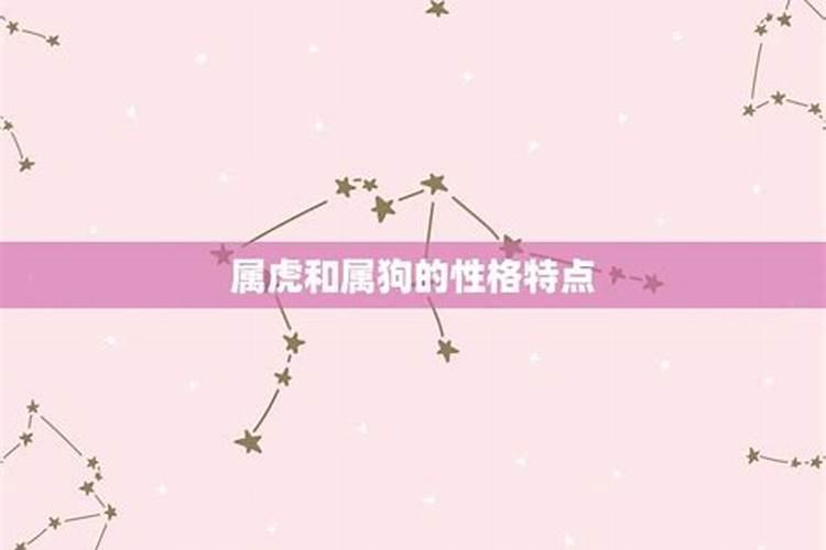 属马和属狗的适合做夫妻吗