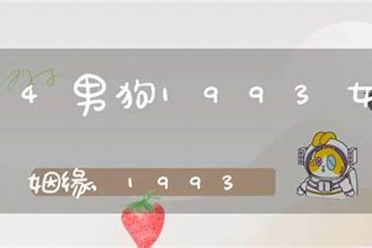 11岁属什么生肖