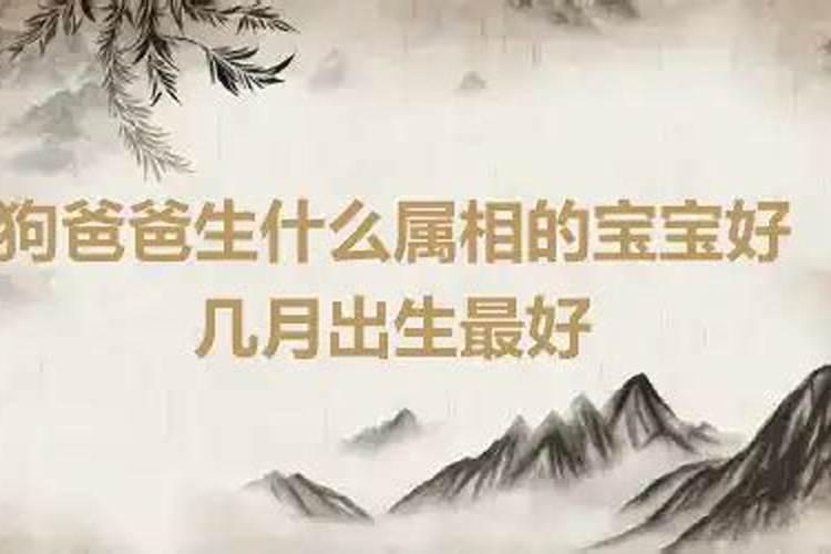 属狗生什么属相的宝宝最好,几月份的最好