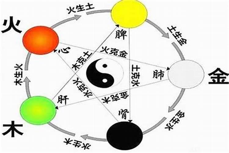 宗这个字属于五行属什么