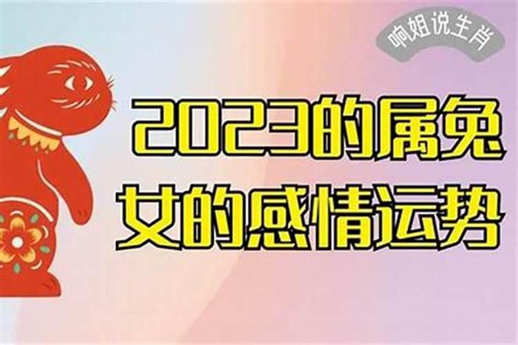 属兔的女人今年运势怎么样