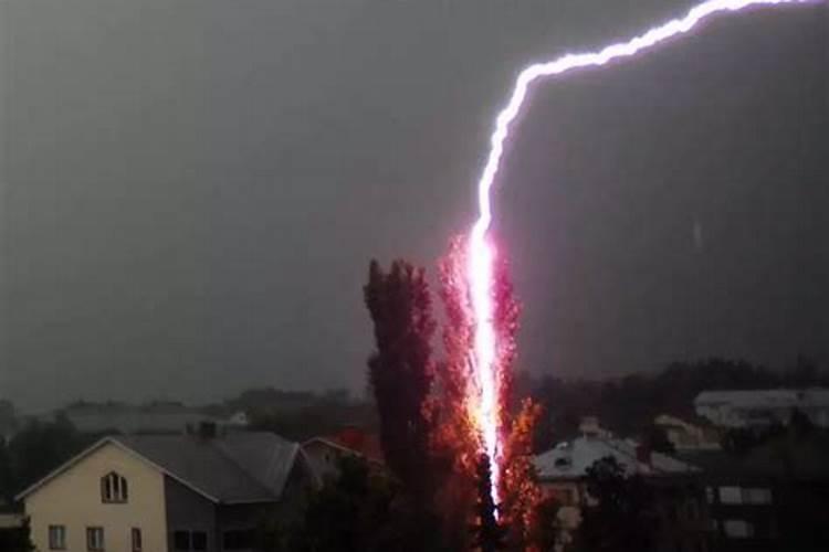 梦见电闪雷鸣,闪电把大树给劈断了