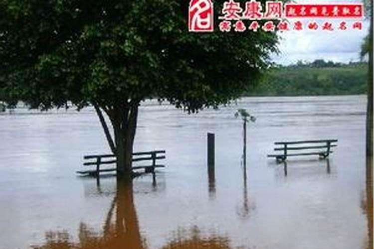 梦见雷雨交加发洪水