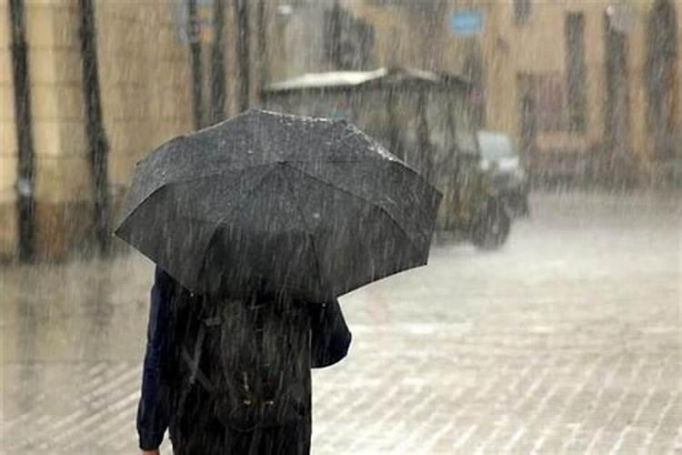 梦见雷风大雨