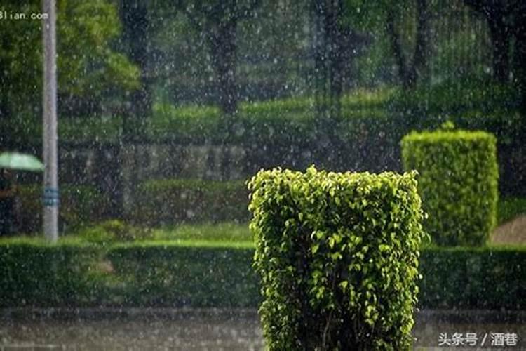 女人梦见下暴雨什么征兆