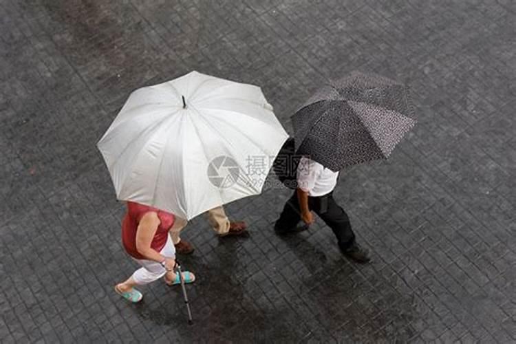 梦见下雨打伞风很大