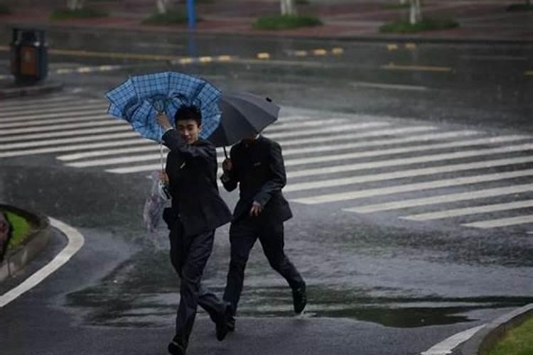 梦见下很大雨打伞在雨中走