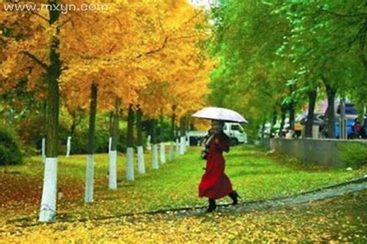 女人梦见下大暴雨预示什么意思