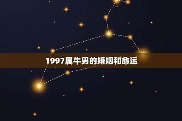 1997年属牛男的婚姻