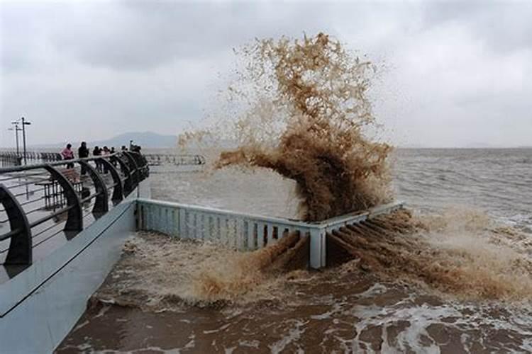 梦见海水涨潮又退潮啦!捡到特别大的海罗