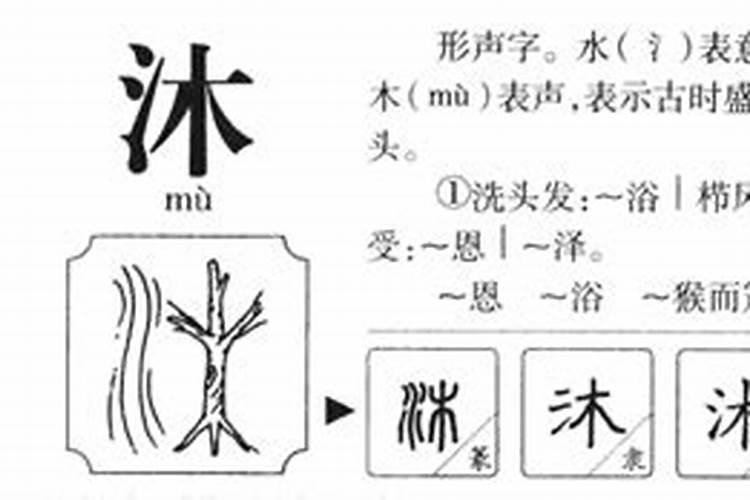 睦字五行属什么