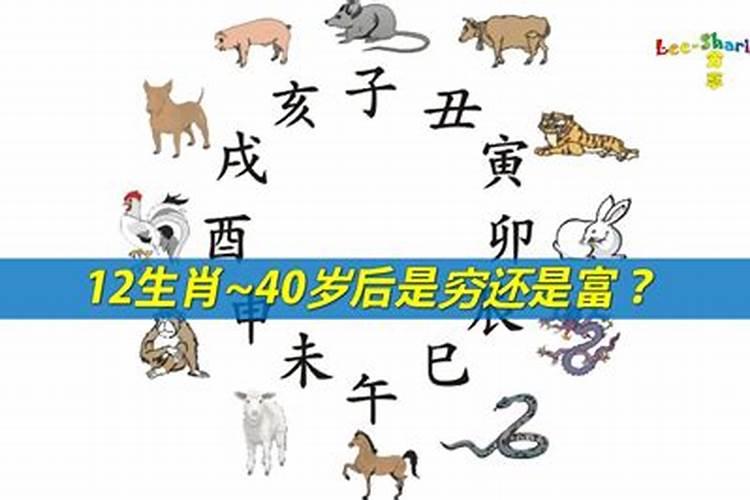 这四个生肖穷不过35岁