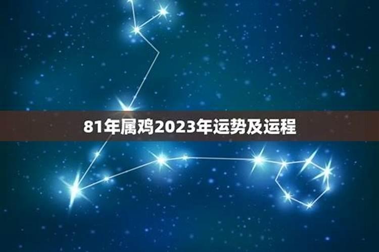 鸡年2023年运势及运程1981