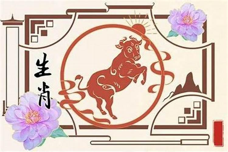 属牛的人适合要属什么的孩子