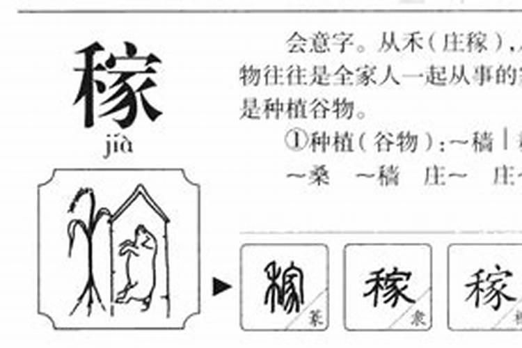 稼字五行属什么