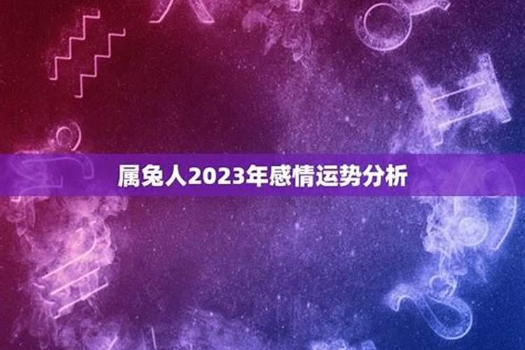 2023年属兔人的感情