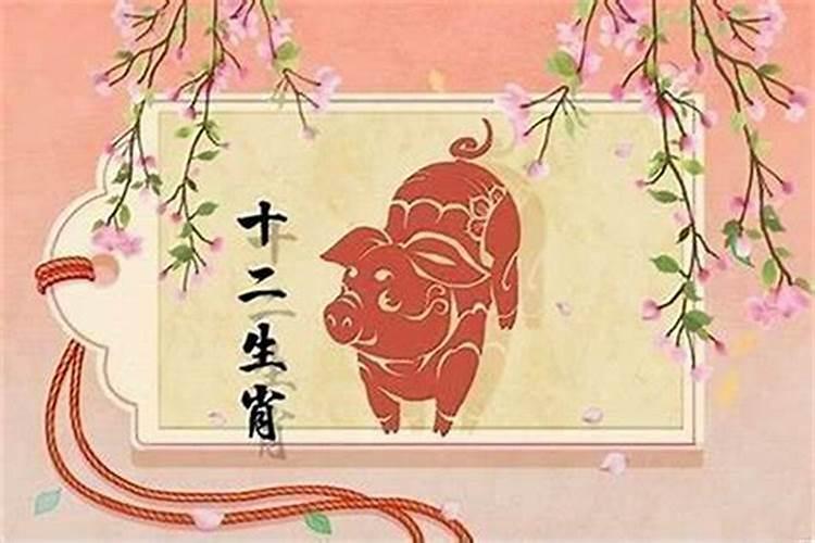 属猪今年的桃花运如何